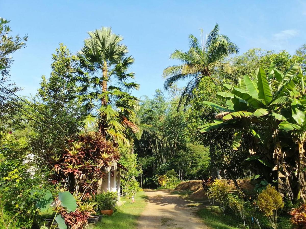 Suan Bang Bon Guest House Plai Phraya Extérieur photo