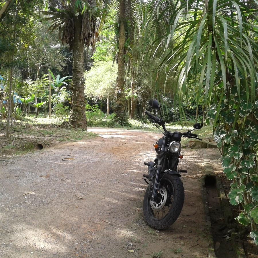 Suan Bang Bon Guest House Plai Phraya Extérieur photo